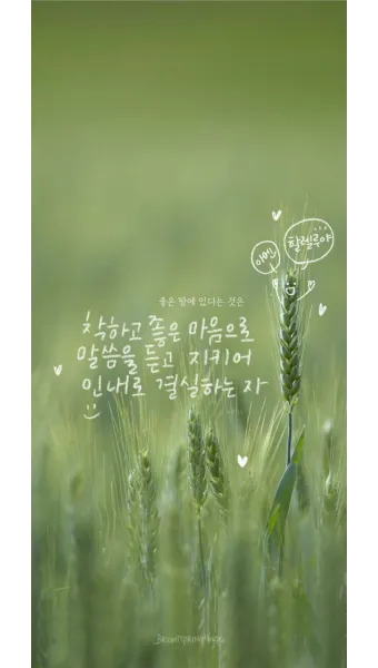 매일 성경 묵상 누가복음 8장 씨뿌리는 자_21
