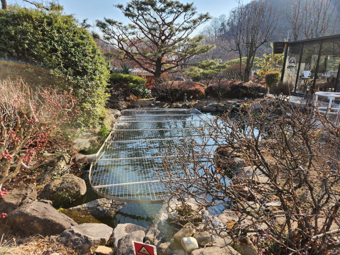 블루닷 카페