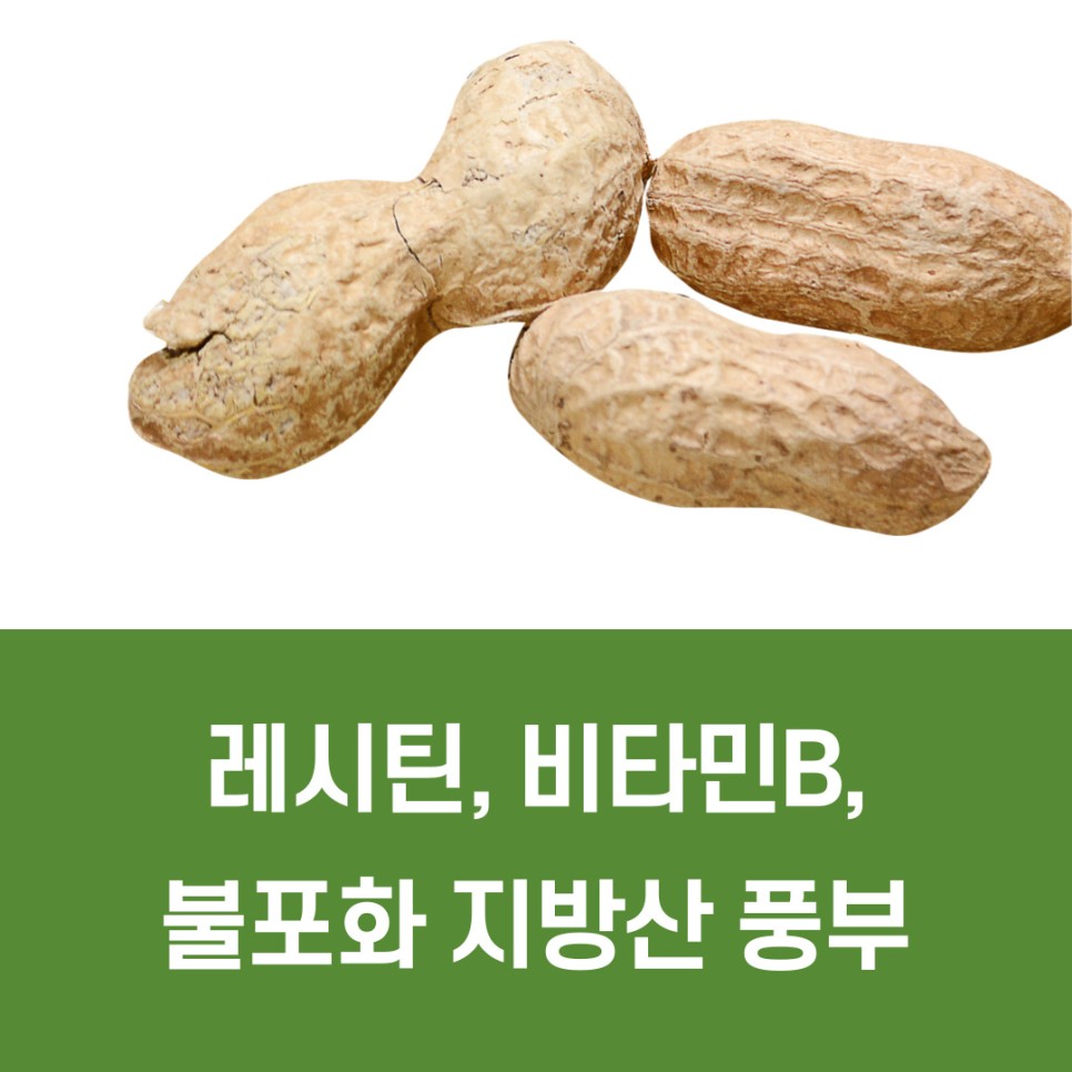 땅콩 칼로리 땅콩 효능 5