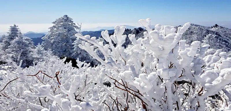 지리산 설경 상고대