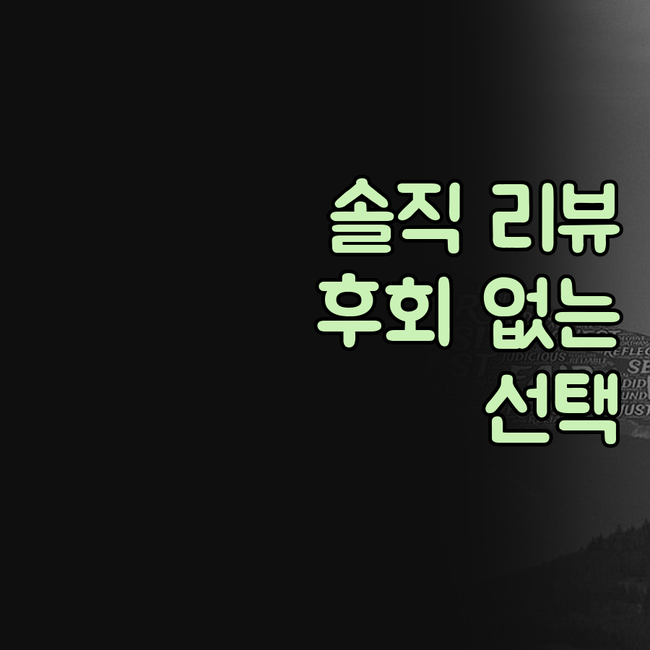 내돈내산 서드베리 호텔 리뷰! 후회없
