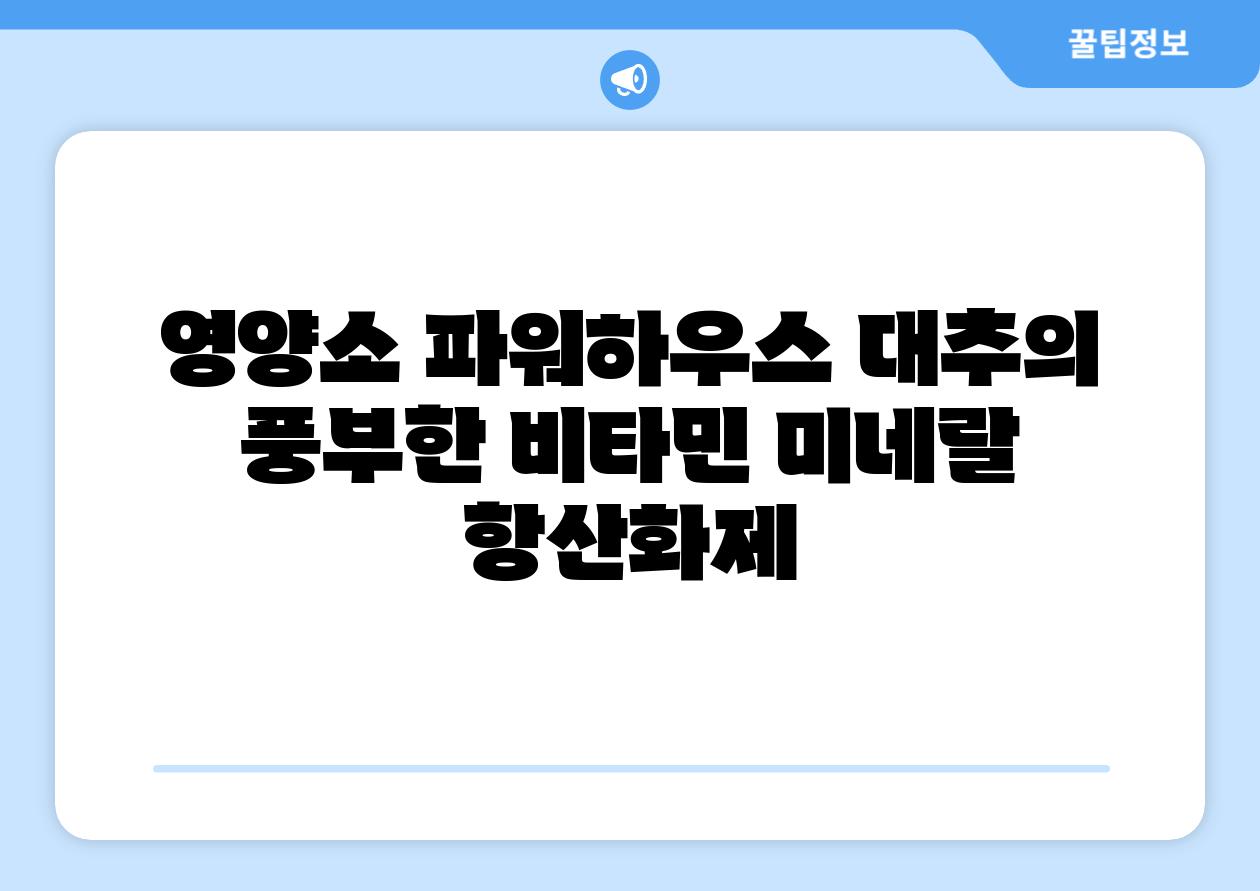 영양소 파워하우스 대추의 풍부한 비타민 미네랄 항산화제