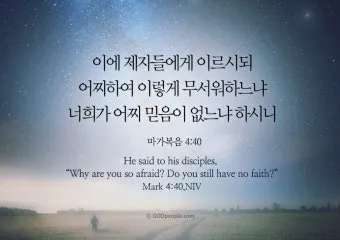 씨 뿌리는 자의 바유 마가복음 성경 묵상_5