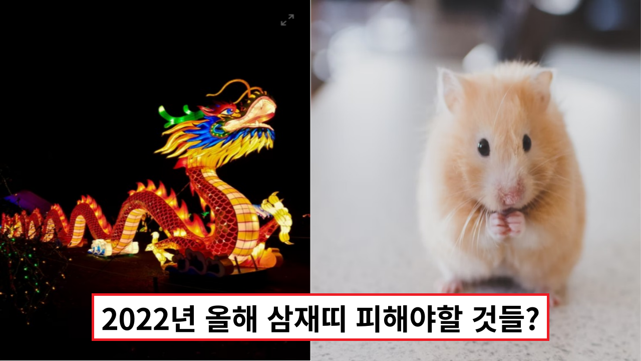  '올해는 이것만큼은 조심하세요' 2022년 올해 삼재띠 피해야할것들?