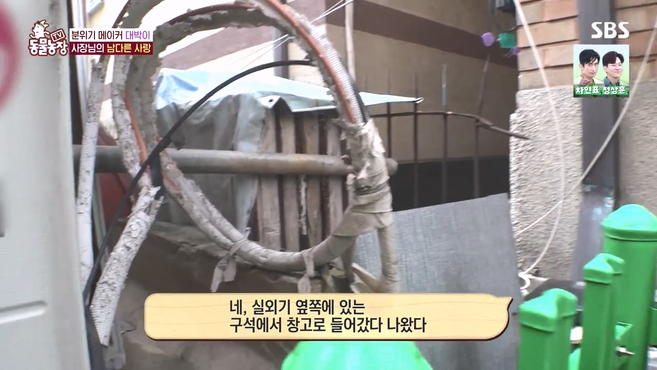 TV 동물농장.E1141.231016p-NEXT.mp4_20231015_174007.624.jpg