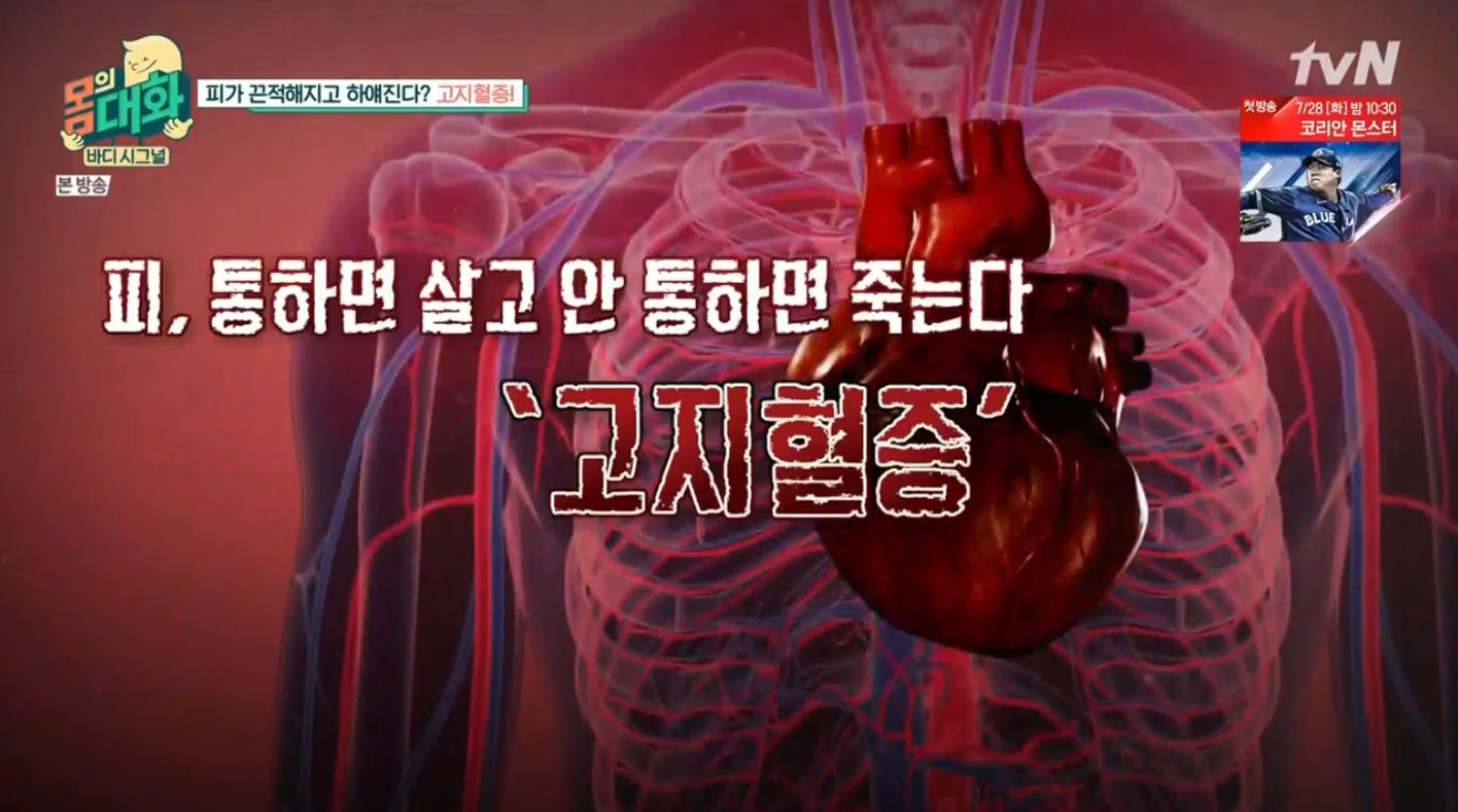  피, 통하면 살고 안 통하면 죽는다! "고지혈증" 원인, 증상과 예방법