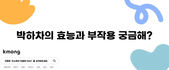 박하차의 10가지 효능과 그에 따른 부작용을 알아보자