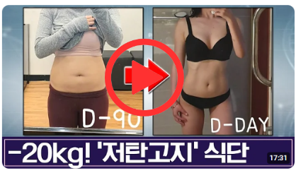 -20kg 성공한 식단 노하우 다 알려드림