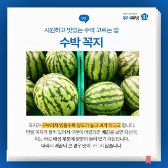 맛있는 수박 고르는법 5가지 feat 좋은 수박 암수 구별법_23