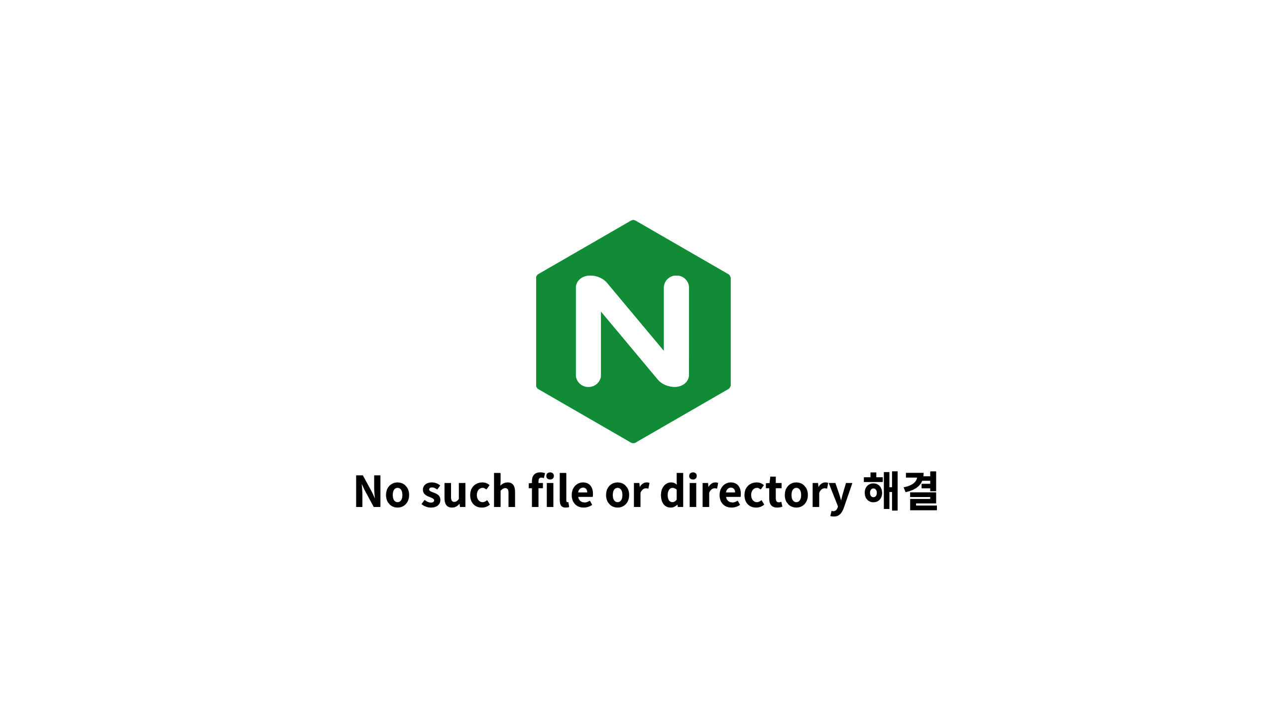  nginx 에러 open() "/nginx/1.21.3/logs/nginx.pid" failed (2: No such file or directory) 해결