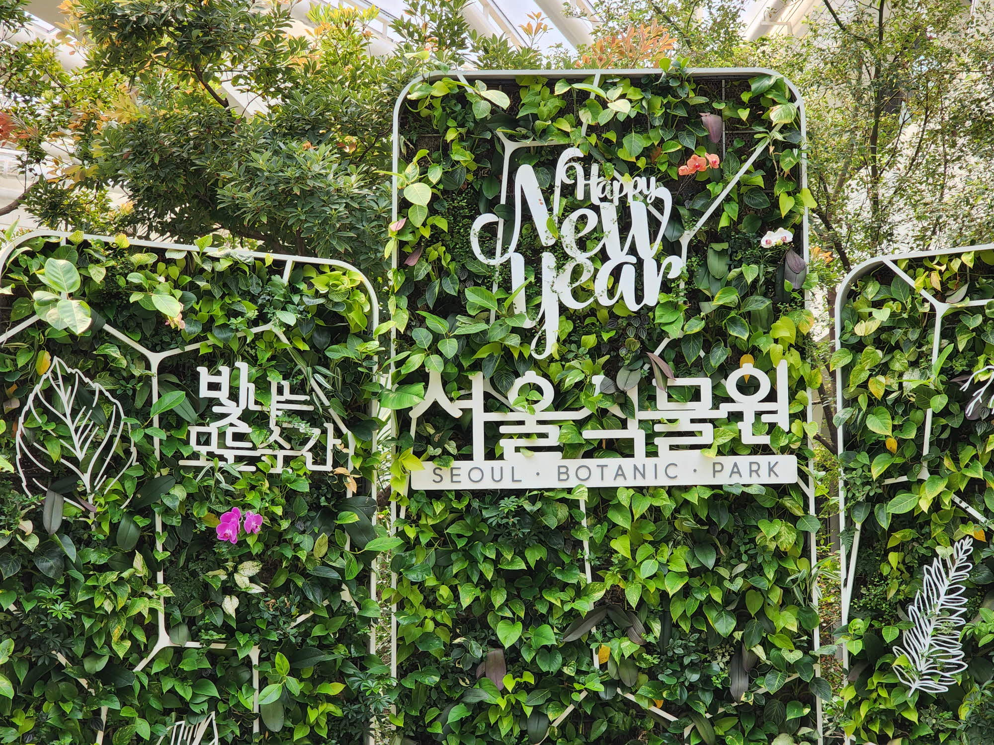  서울 오면 들릴 곳 마곡 서울 식물원의 거대 온실 구경하세요. 야외는 애견 동반 가능해요