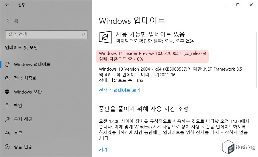 Windows 업데이트 10.0.22000.51 다운로드