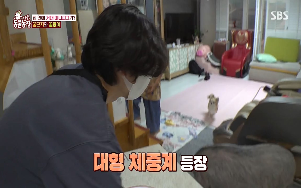 TV 동물농장.E1080.220732p-NEXT.mp4_20220731_174222.117.jpg