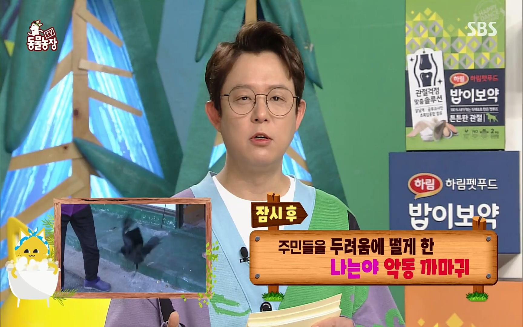 TV 동물농장.E1062.220327p.H264-F1RST.mp4_20220327_174409.312.jpg