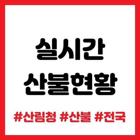 실시간 산불현황