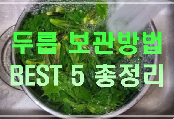 두릅 보관방법 총정리 글 썸네일