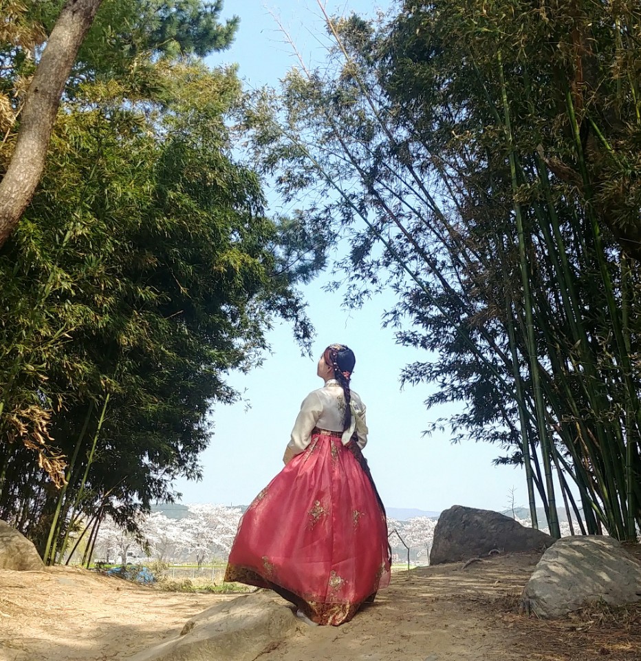  경주벚꽃여행 ] 한복입고 첨성대, 보문단지