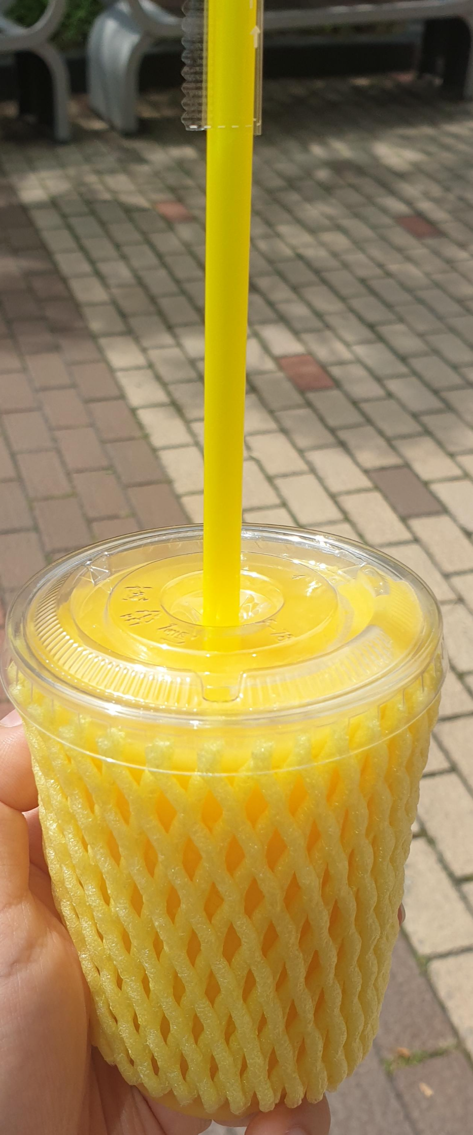  [가산디지털단지] 고망고(GOMANGO) - 식후땡 망고 쥬스