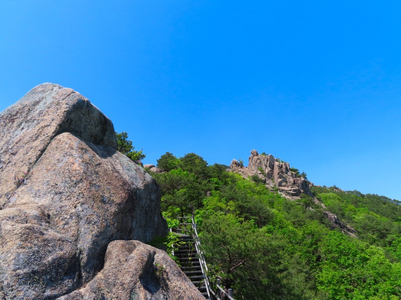 블랙야크 100+, Y출렁다리, 42