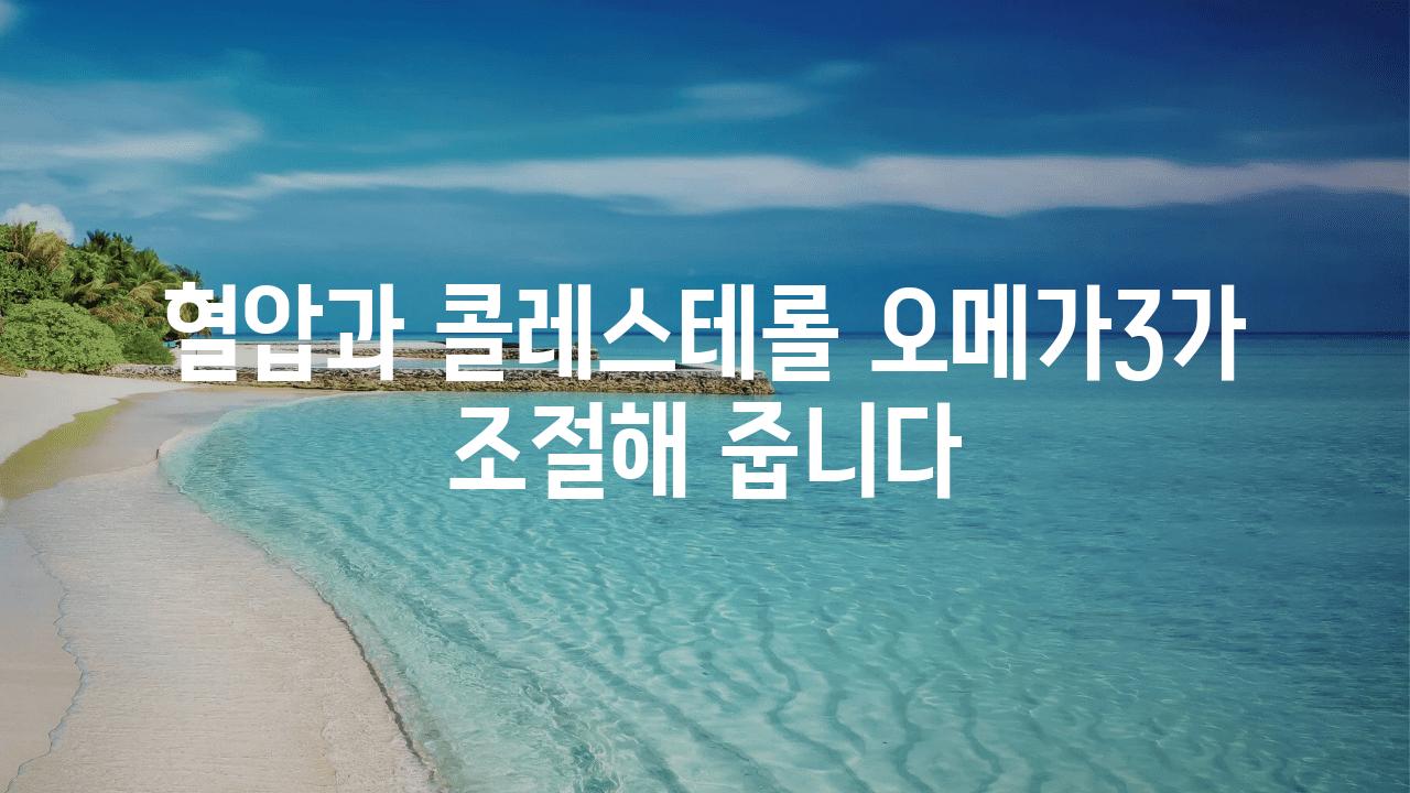 혈압과 콜레스테롤 오메가3가 조절해 줍니다