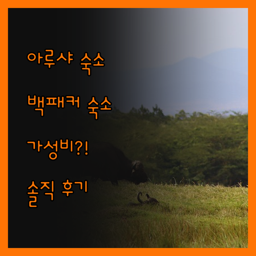 아루샤 백패커, 가성비 끝판왕! 진실