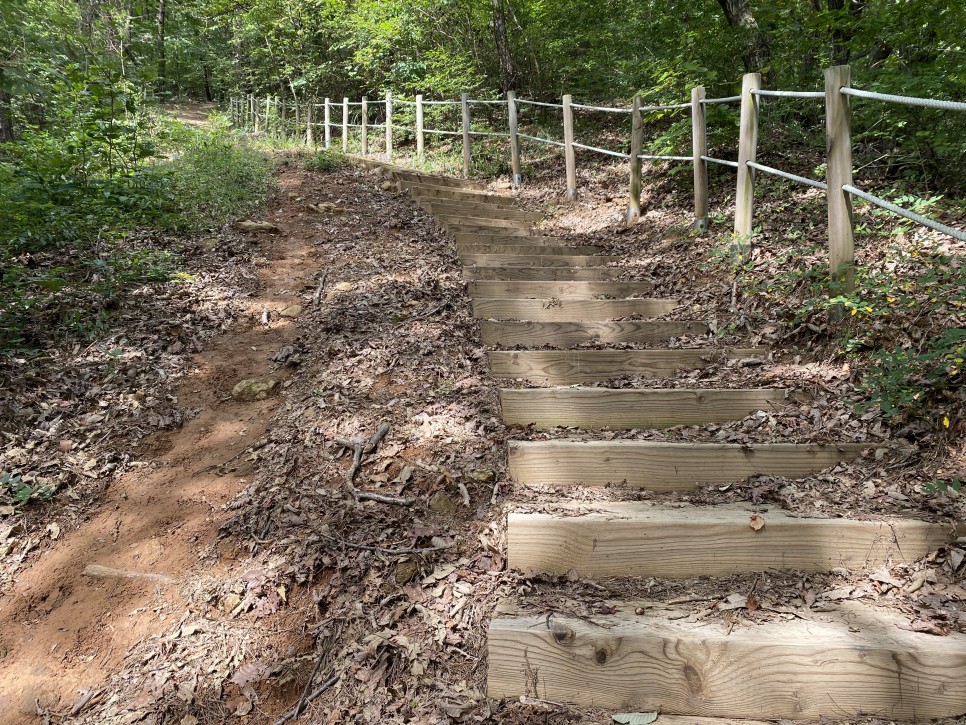 홍길동이 다녀간 32