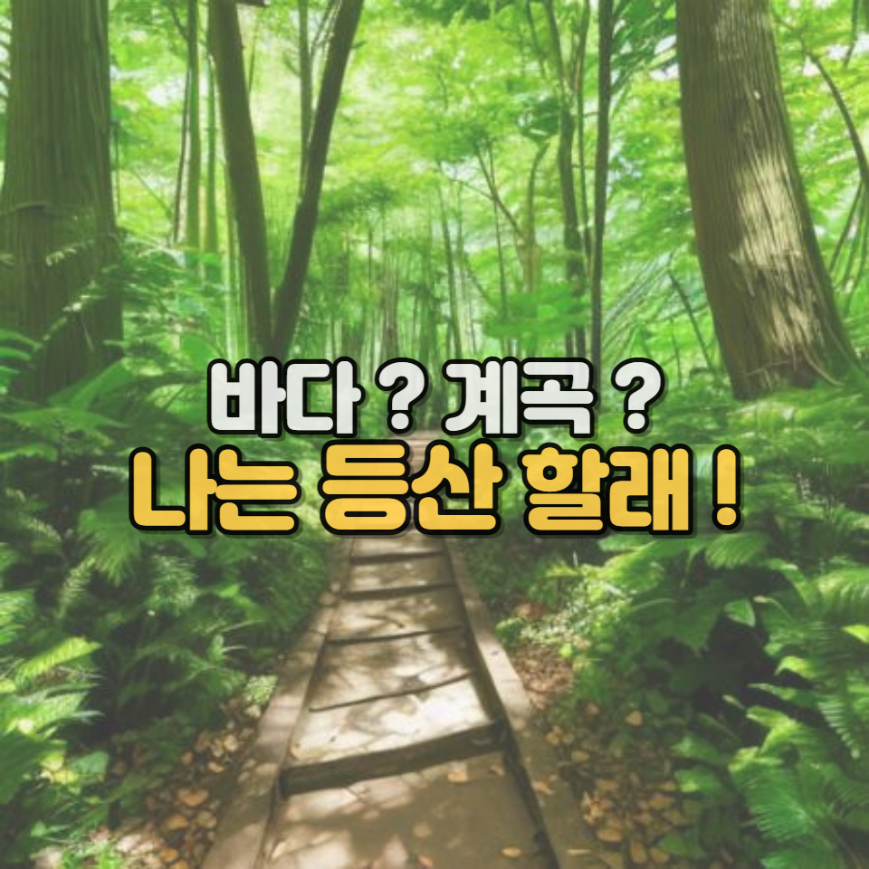 등산 썸네일