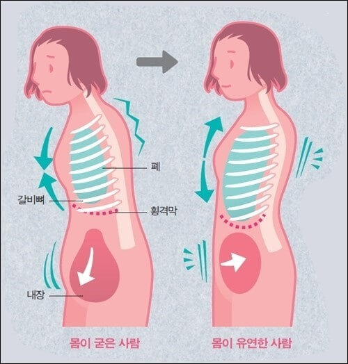 운동이 회춘방법