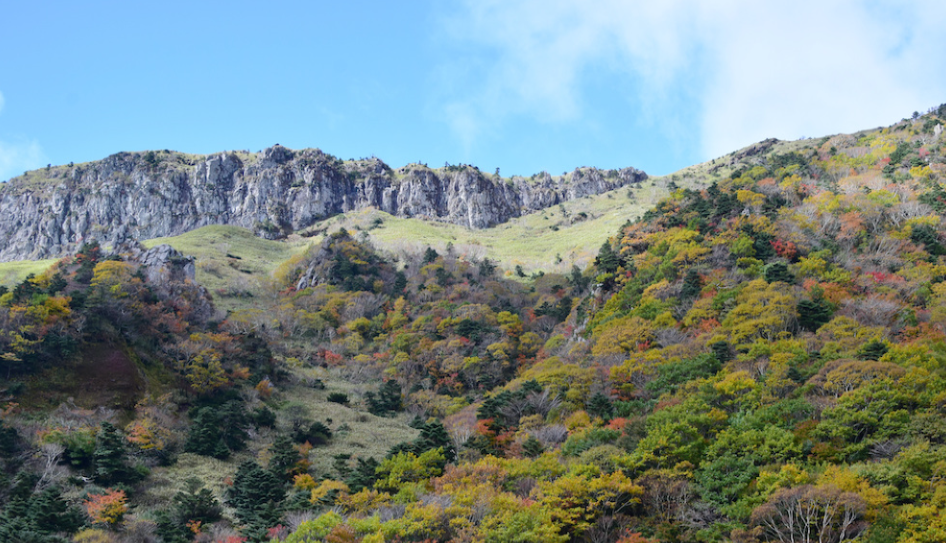 한라산탐방