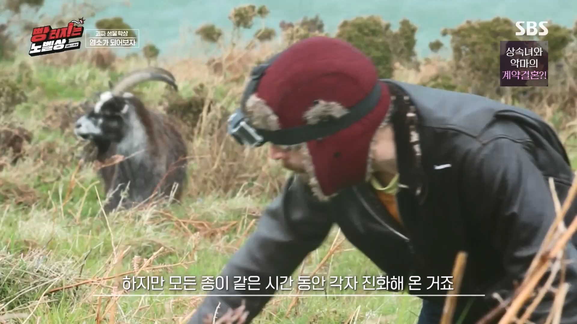 SBS 스페셜.E658.231105p.H264-F1RST.mp4_20231106_201729.685.jpg