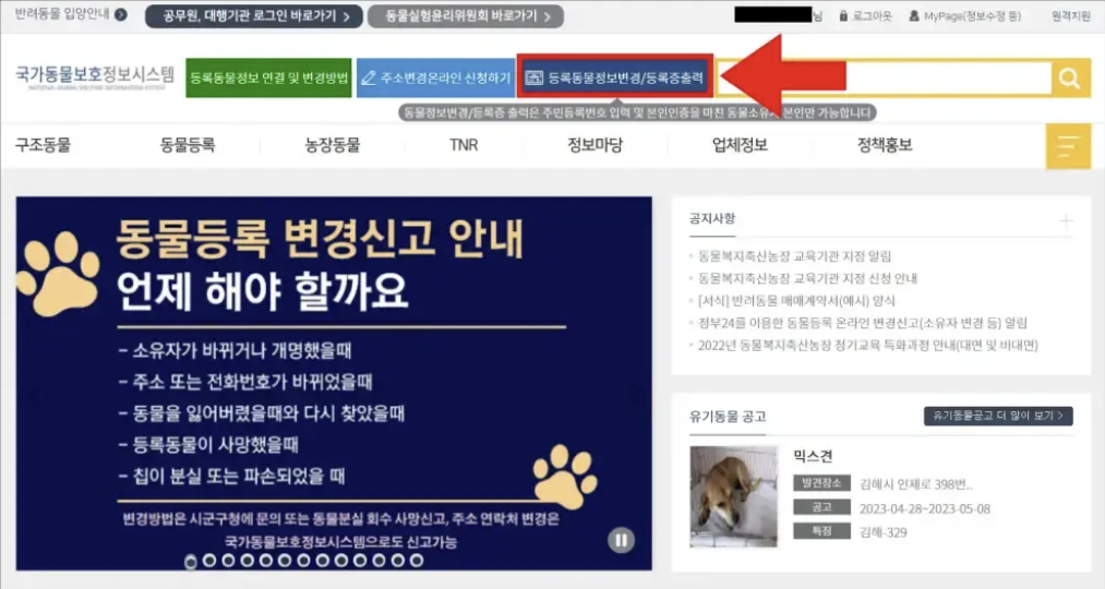  강아지 등록번호 조회 방법 알아보기 (분실한 경우에는 어떻게?)