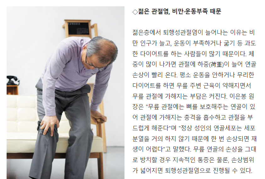 먹는 방법 정확히 따져보세요 참당귀 데커신 효능