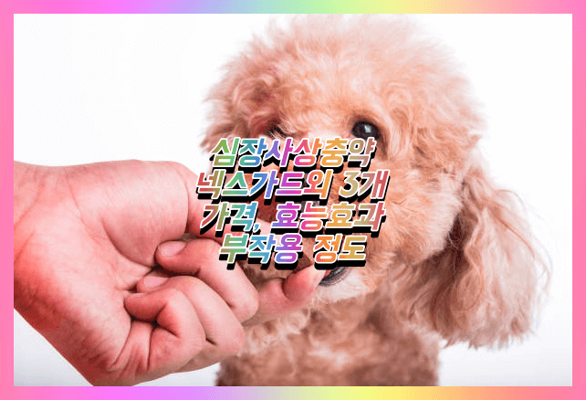  넥스가드 스펙트라 심장사상충약 효능효과 부작용 성분 및 가격비교(하트가드, 프론트라인 플러스)