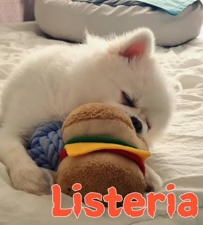 Listeria