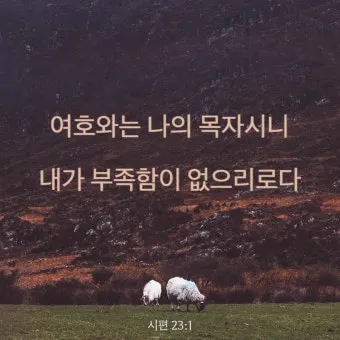 시편 23장 1절 읽기 - 여호와는 나의 목자시니 내게 부족함이 없으리로다_11