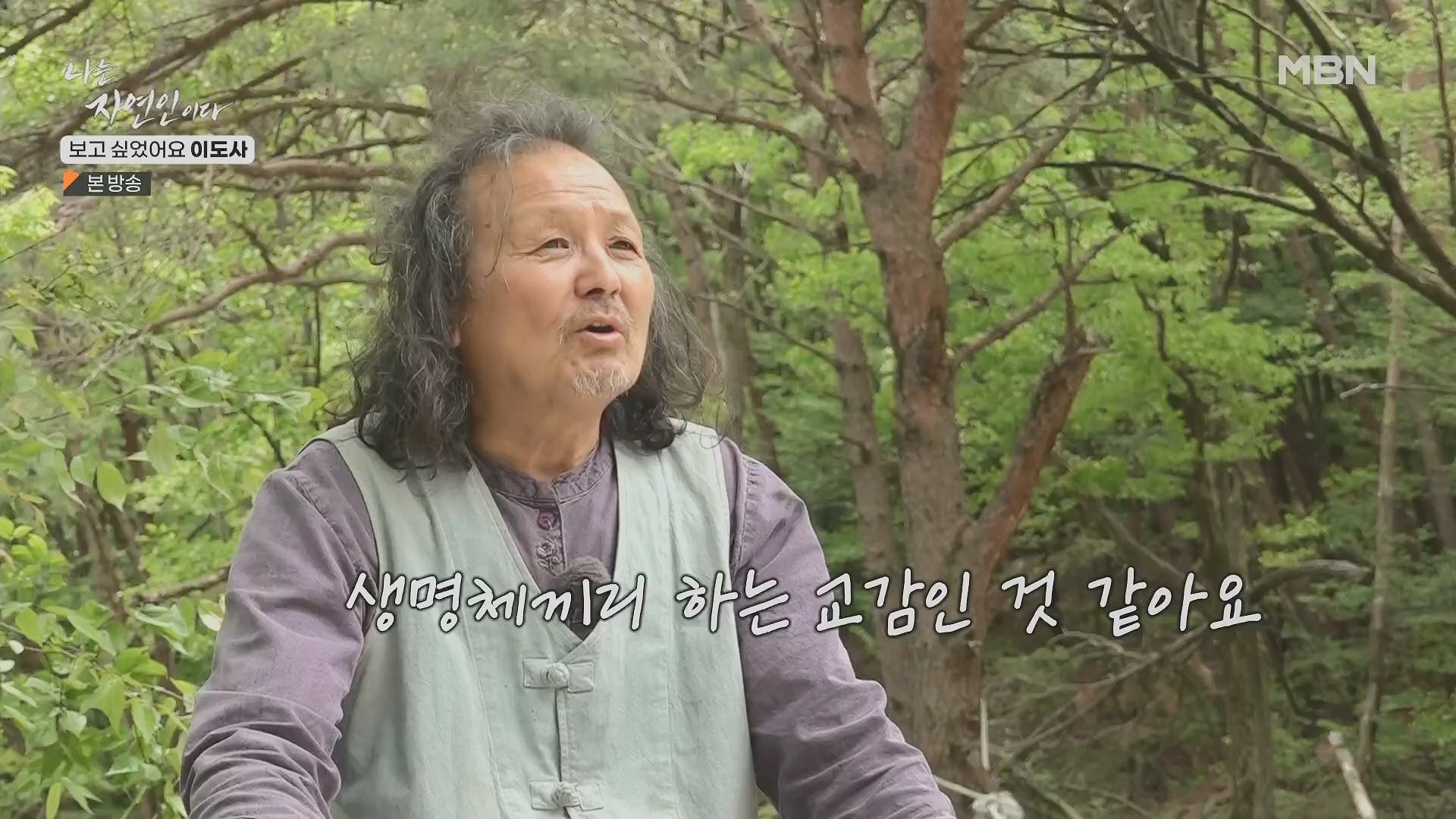 나는 자연인이다.E553.230510p.H264-F1RST.mp4_20230511_195244.011.jpg