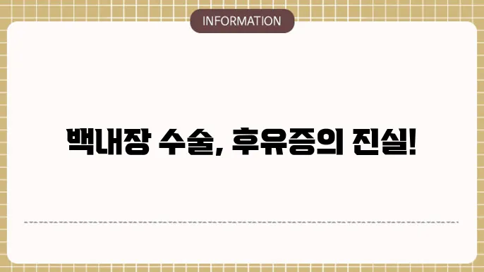 임기보예전도 배탄}