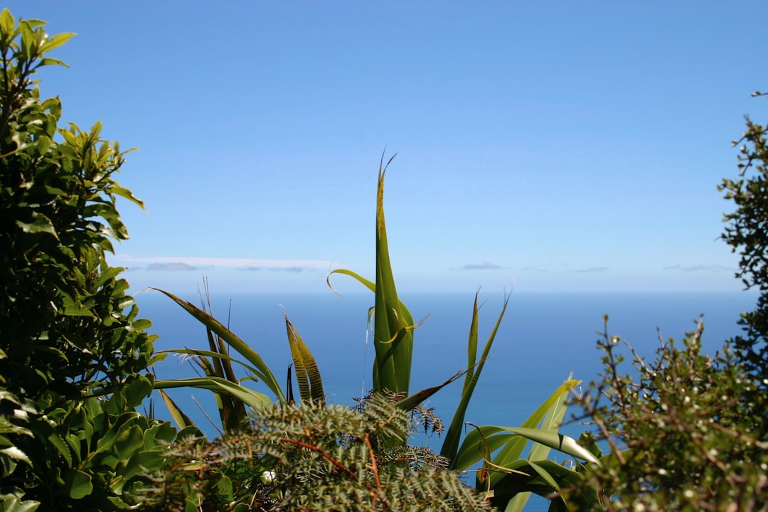 Herb Island