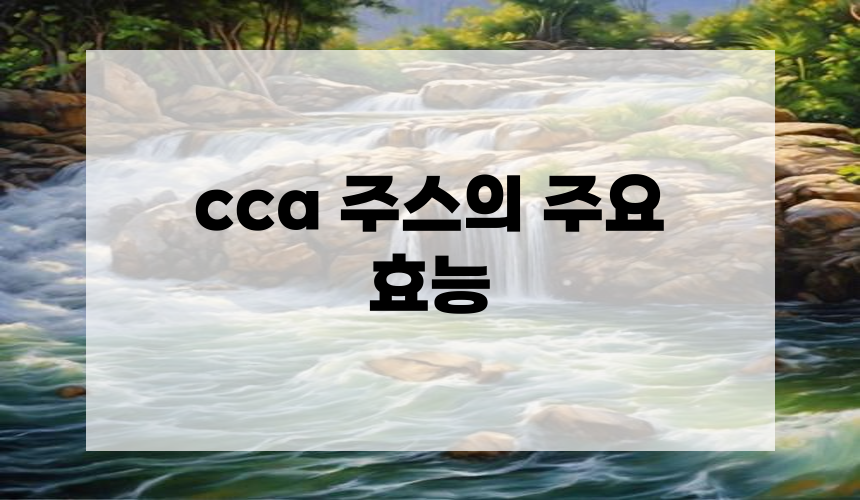 cca 주스의 주요 효능