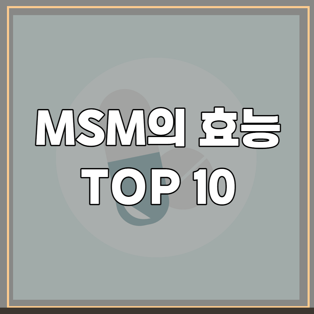 MSM의-효능