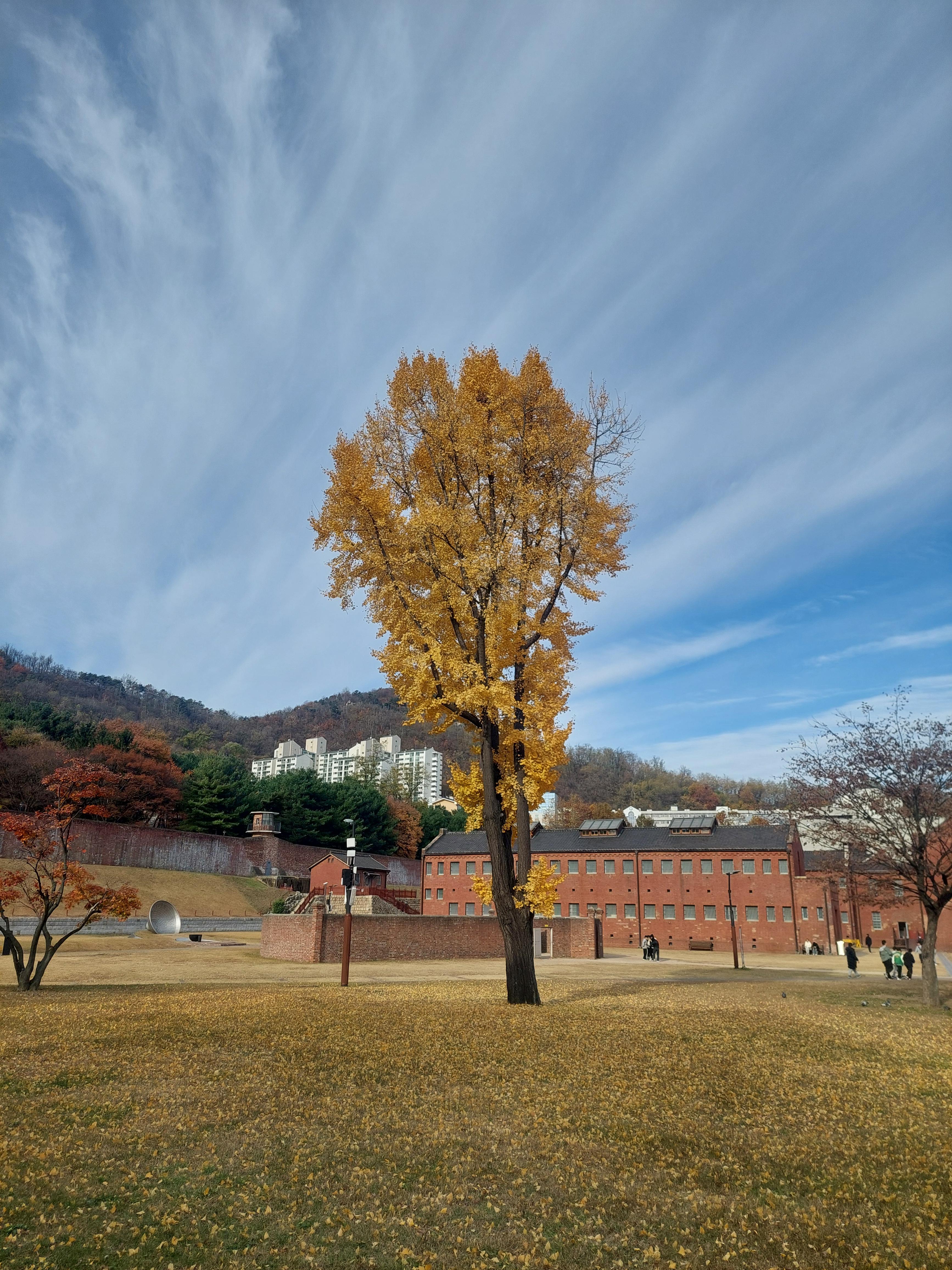 안산