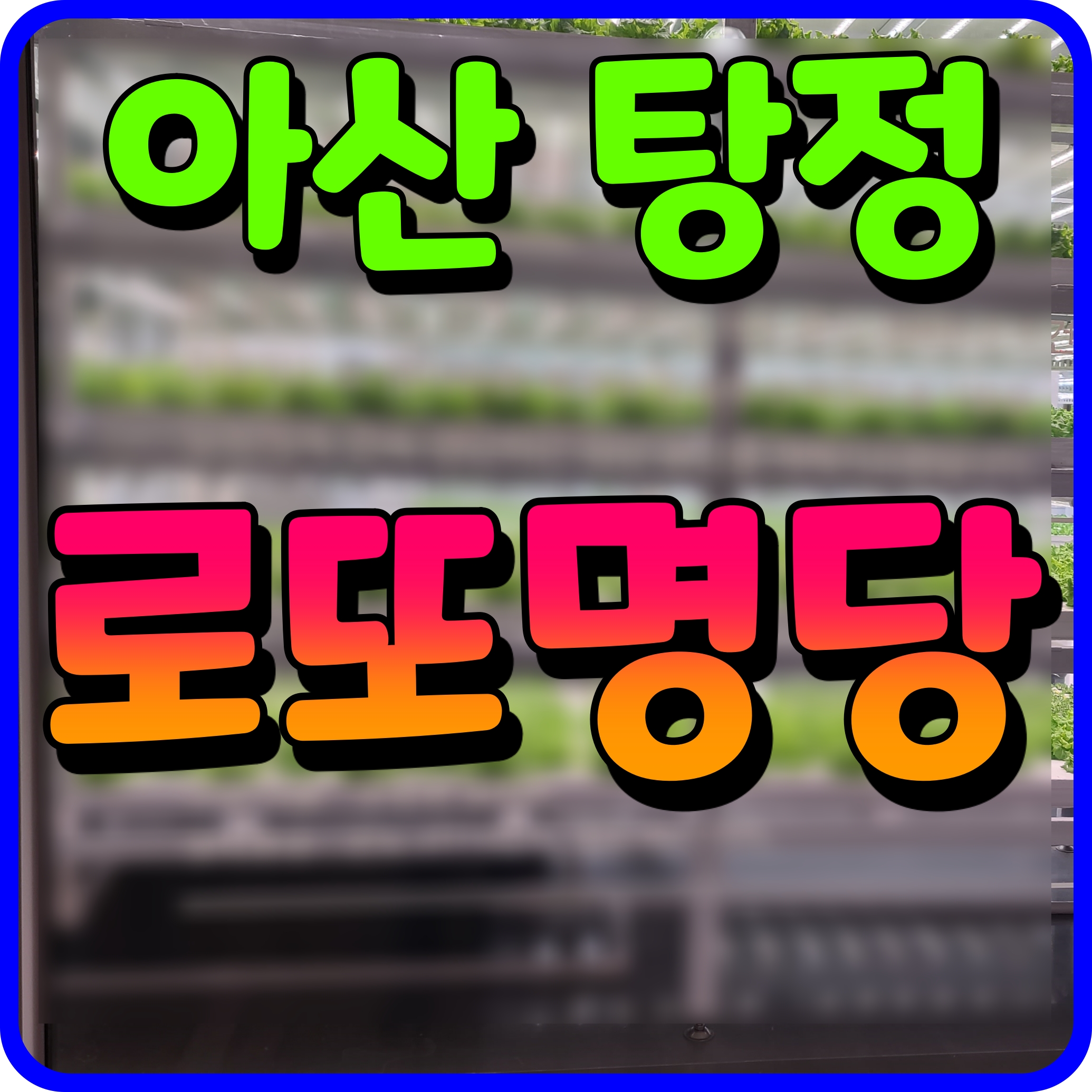  아산 로또 명당 탕정 호반 이용원 1등 당첨금 나도 받아보자