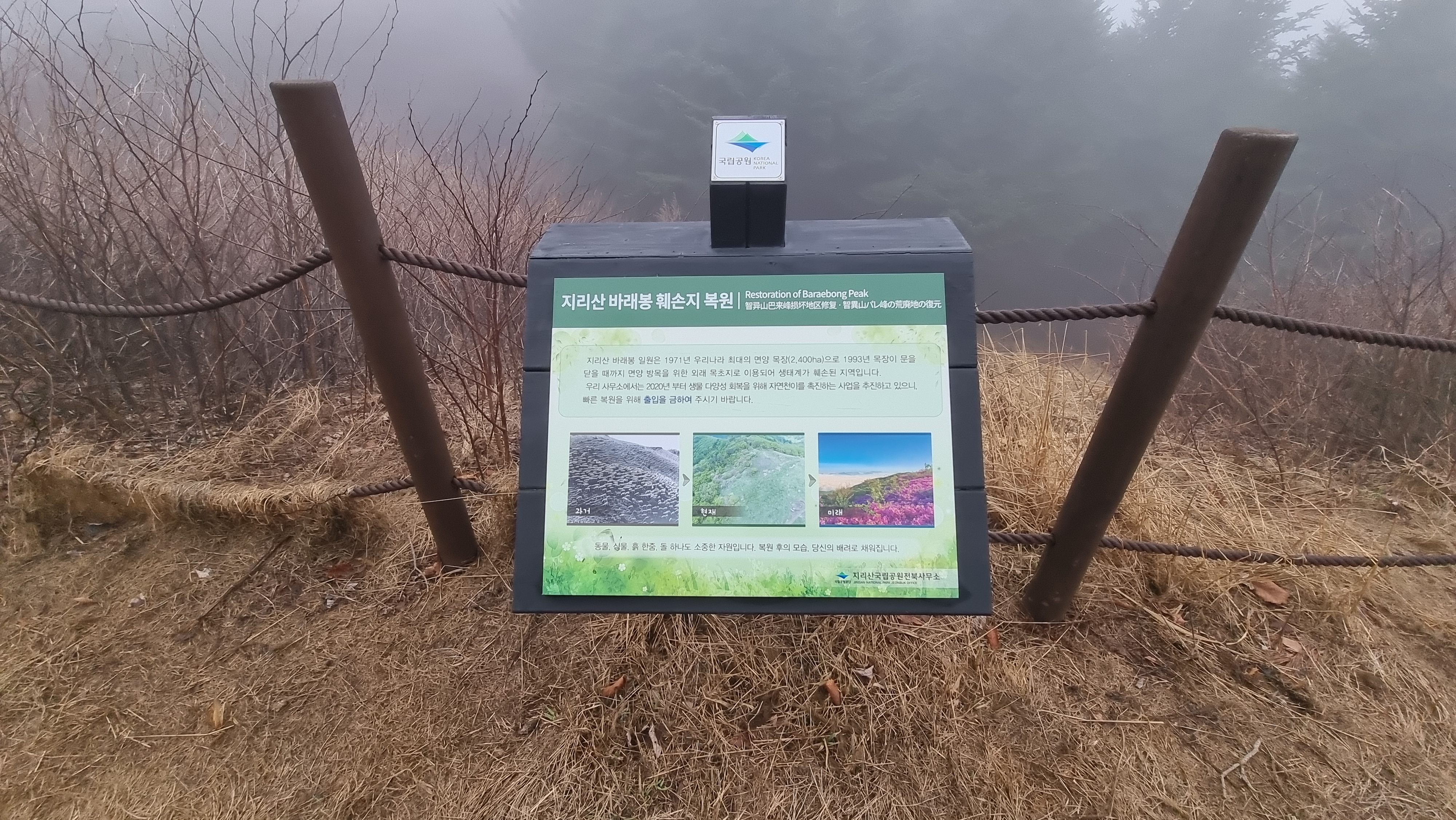 블랙야크 100대 명산, 지리산 바래봉 용산주차장(허브밸리) 원점회귀 최단코스 - BAC100대 명산, 지리산 바래봉 - 🥾 등산시작 블랙야크 100대 명산, 지리산 바래봉 용산주차장(허브밸리) 원점회귀 최단코스 - BAC100대 명산, 지리산 바래봉 - 🥾 등산시작