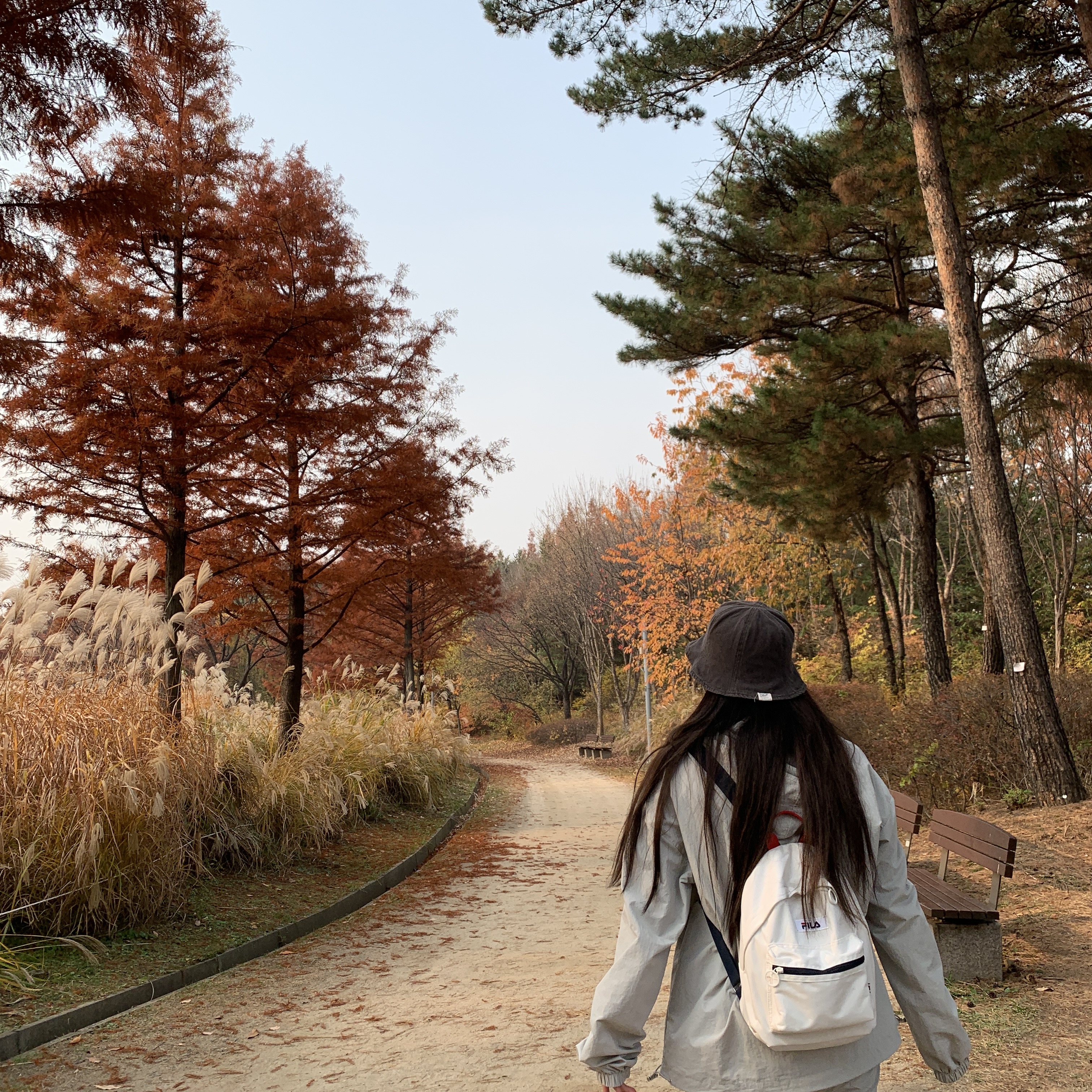 걷는 길 마다 가을에 물든 서울숲