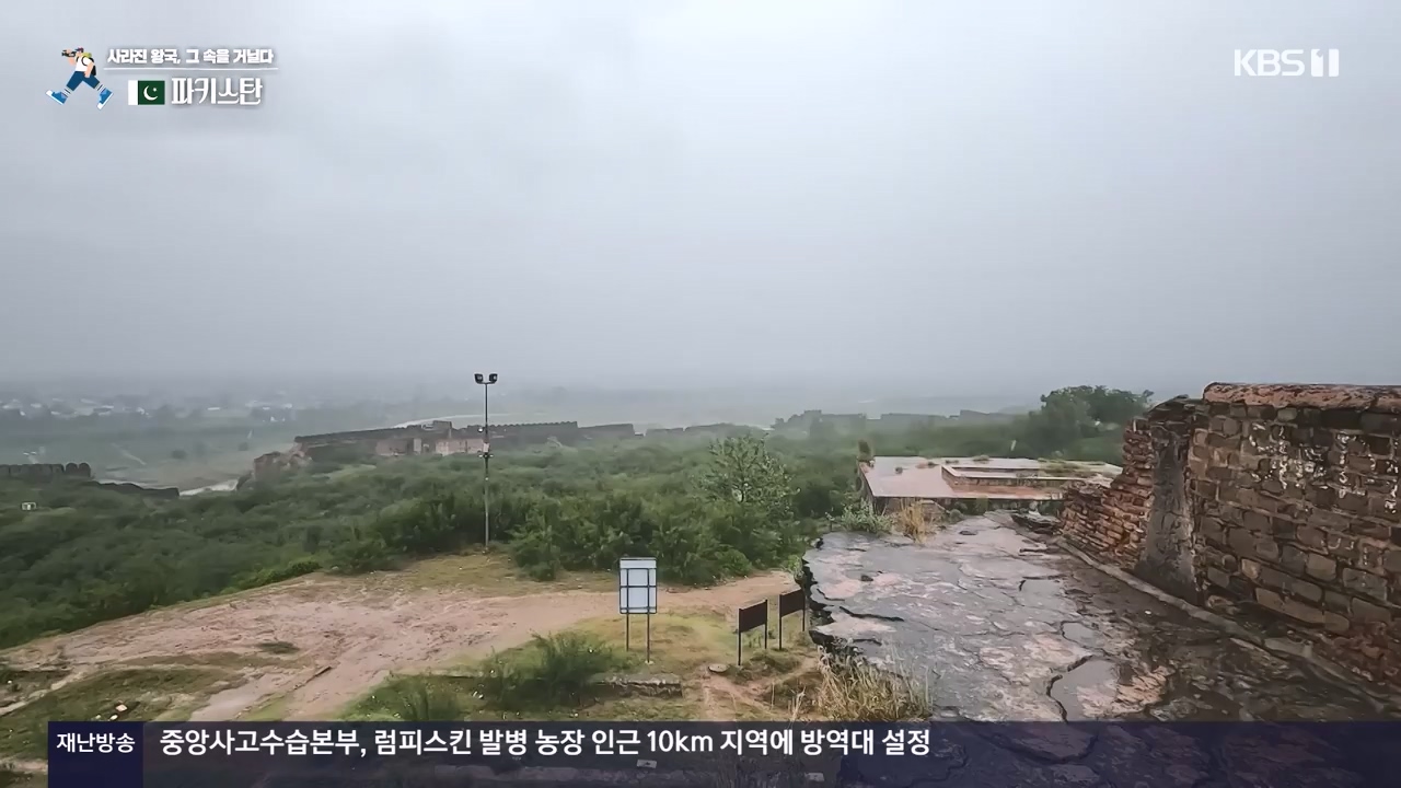 걸어서 세계속으로.E817.231112p-NEXT.mp4_20231114_213231.414.jpg