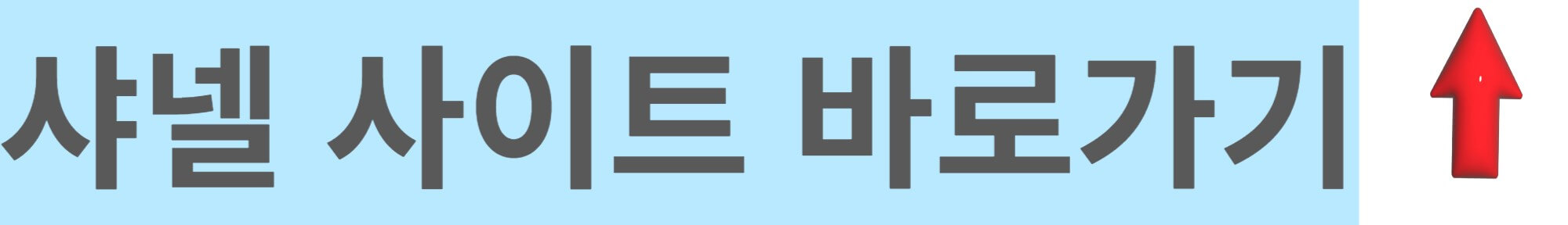 샤넬-사이트-바로가기