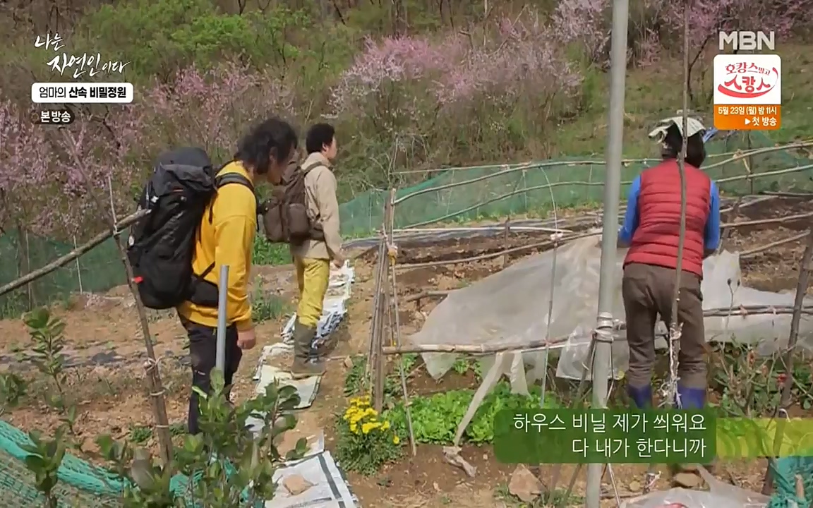 나는 자연인이다.E501.220512p-NEXT.mp4_20220512_185617.413.jpg
