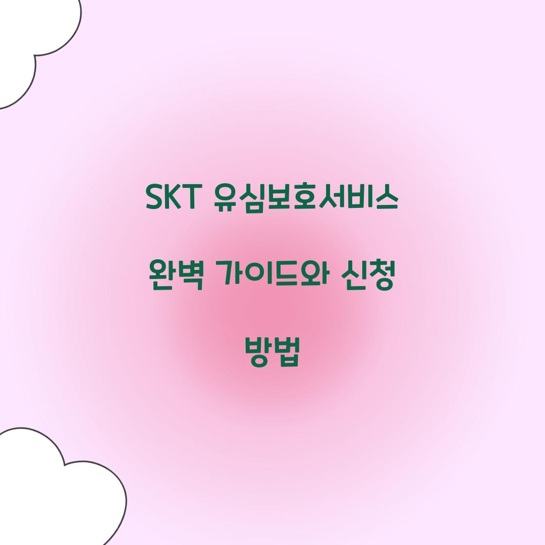 SKT 유심보호서비스
