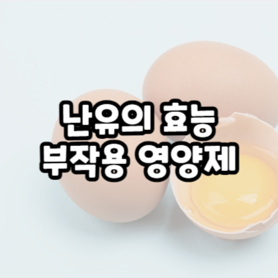 난유 효능 영양제