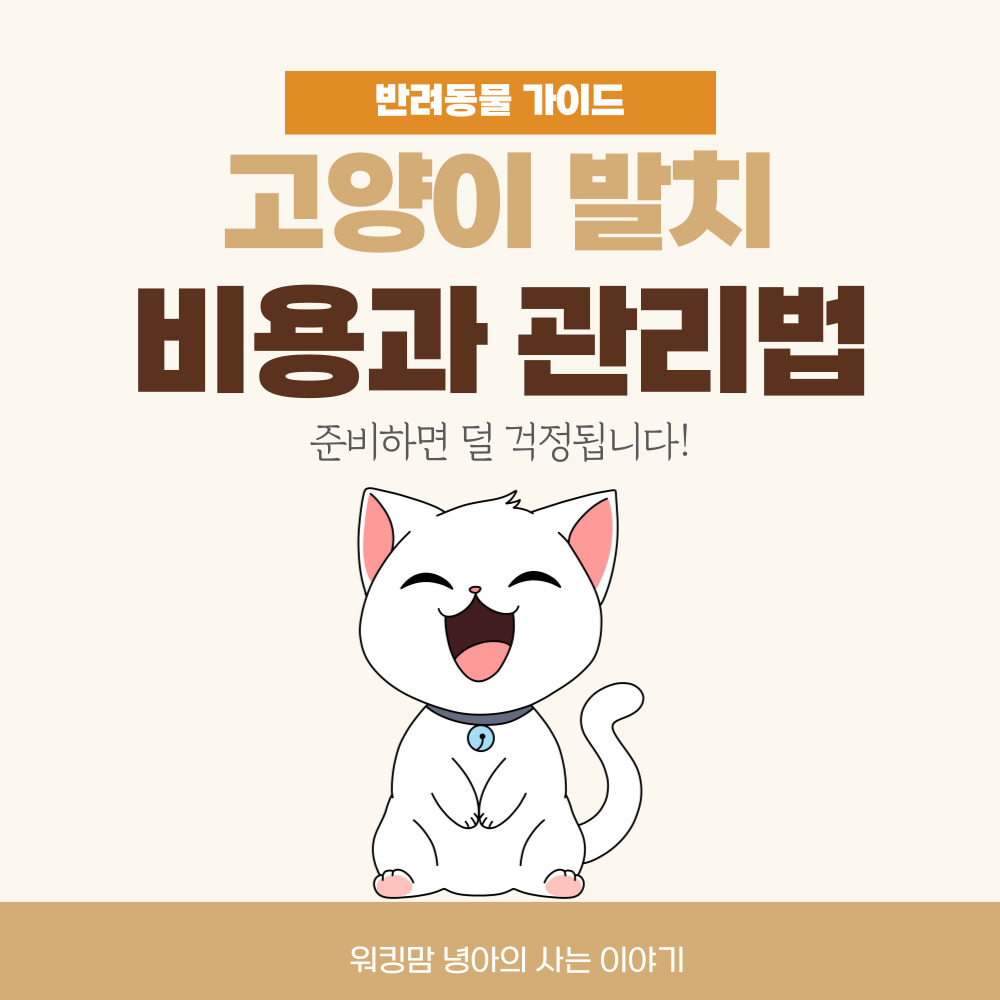고양이-발치-포스팅-대문이미지